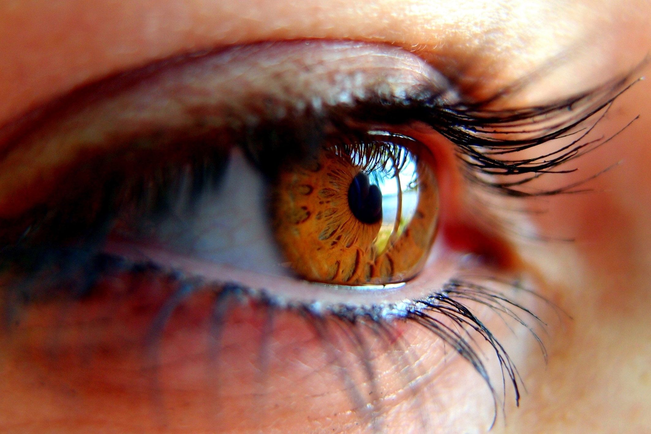 La mitad de la población afectada por glaucoma lo desconoce