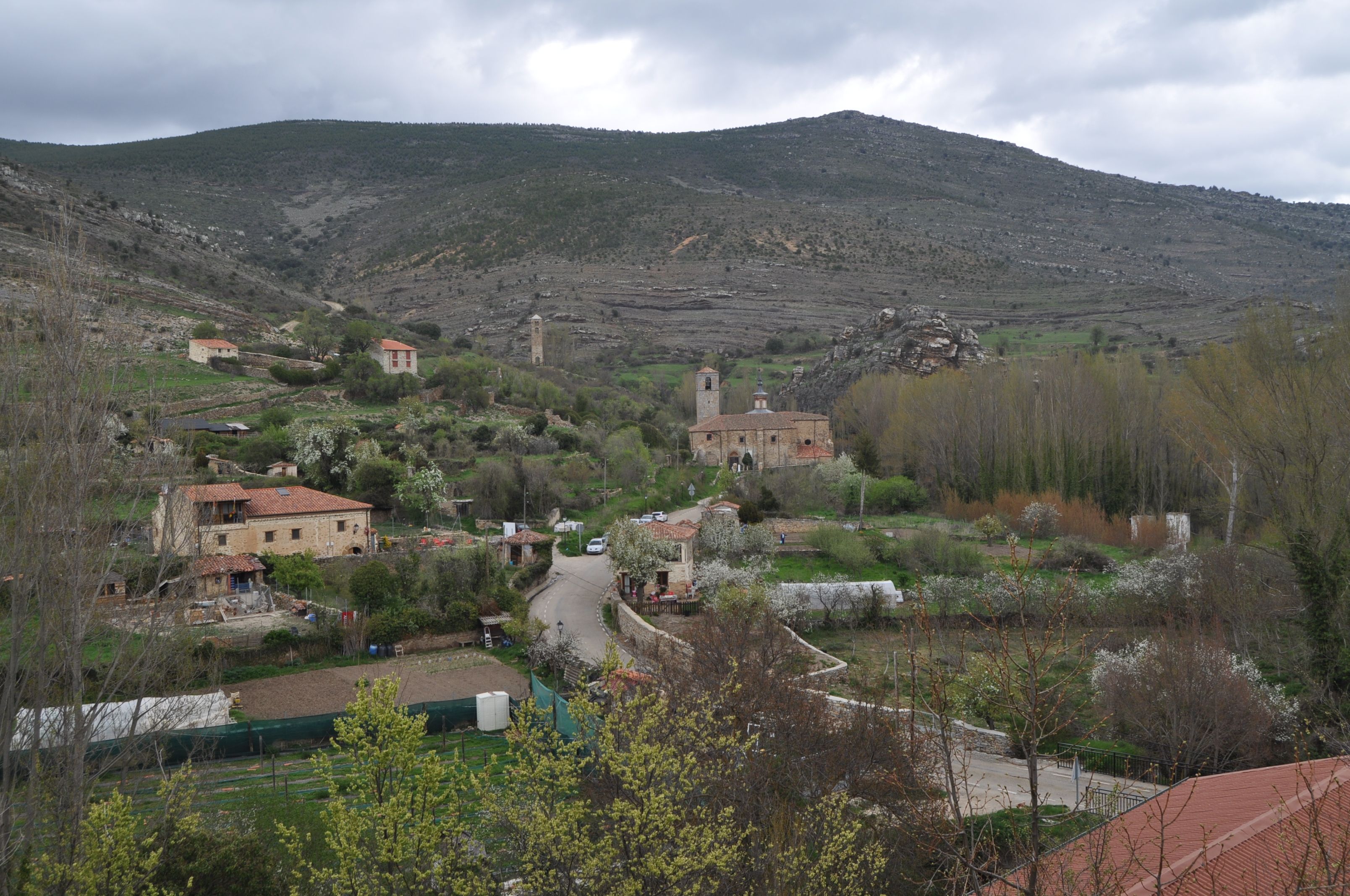 Tierras Altas de Soria: pueblos de piedra y bosques mágicos Foto: 65ymas.com