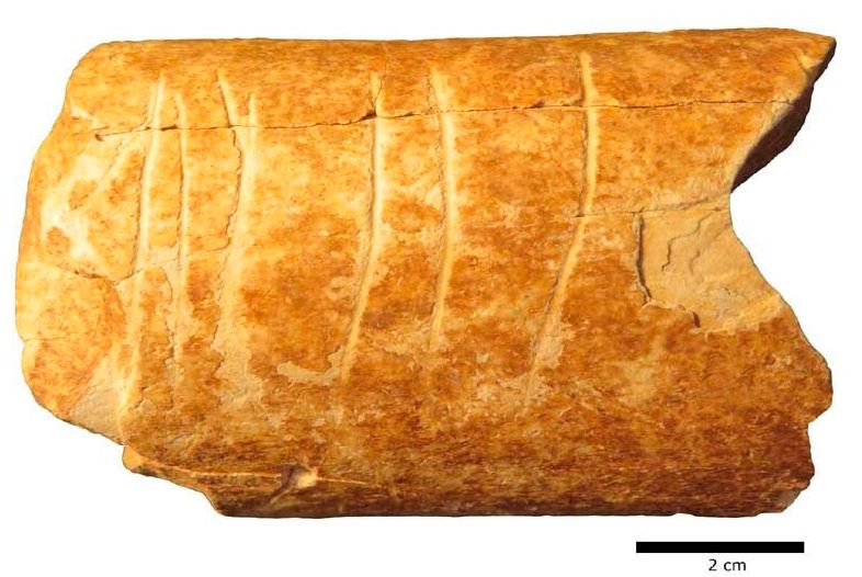 El primer uso de símbolos pudo ser hace 120.000 años