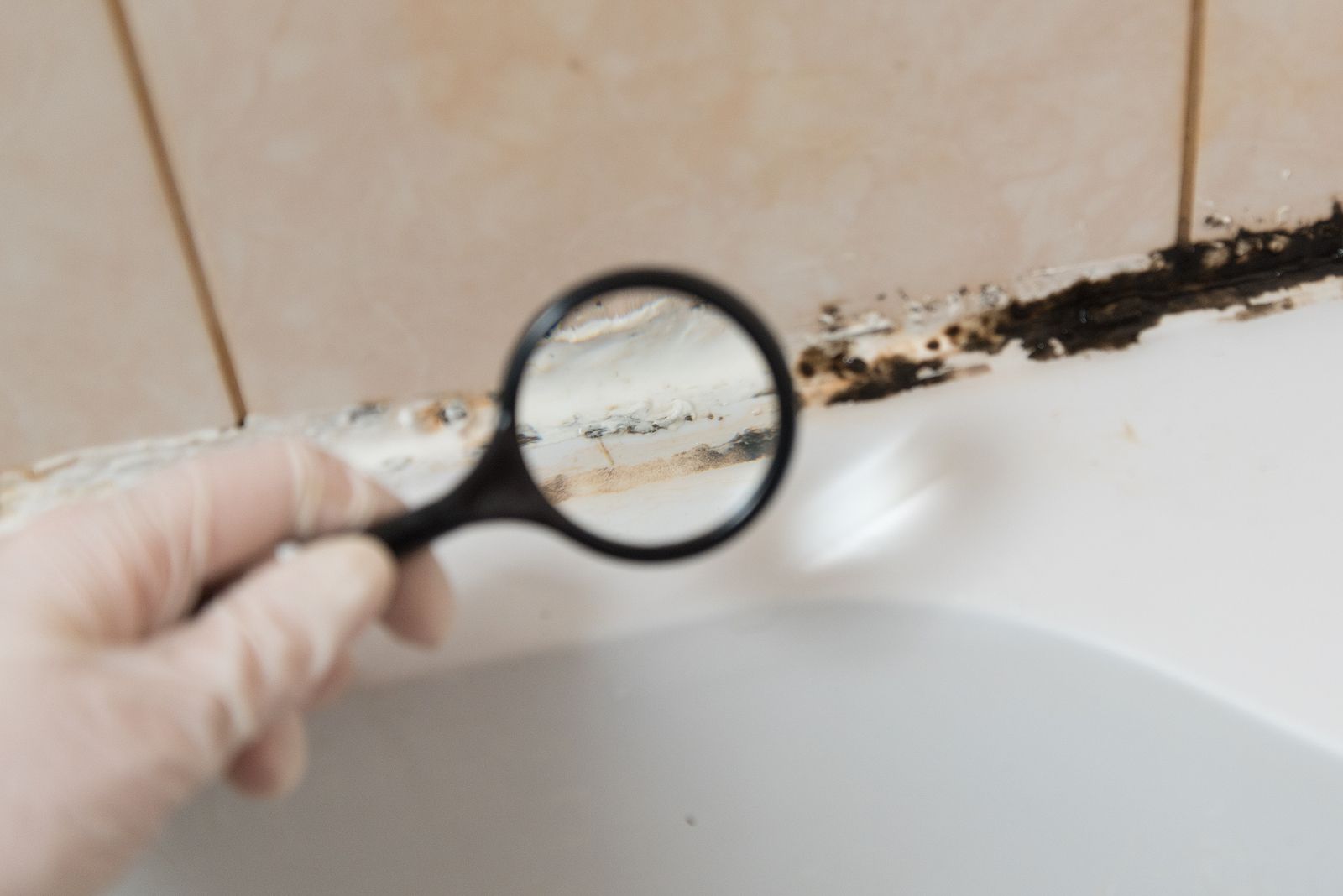 Cómo eliminar los hongos del baño?