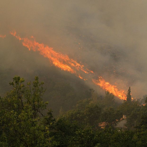 Abiertas diligencias en un juzgado de Ávila por el incendio de Navalacruz. Foto: Europa Press