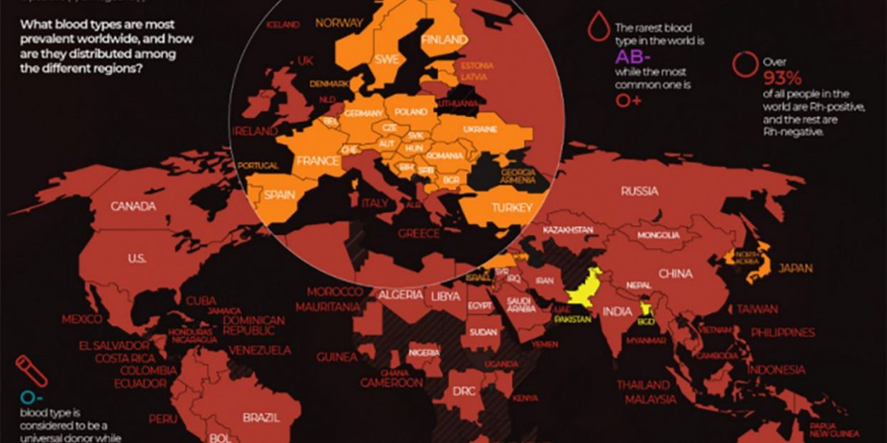 Estos Son Los Grupos Sanguíneos Más Comunes Por Países