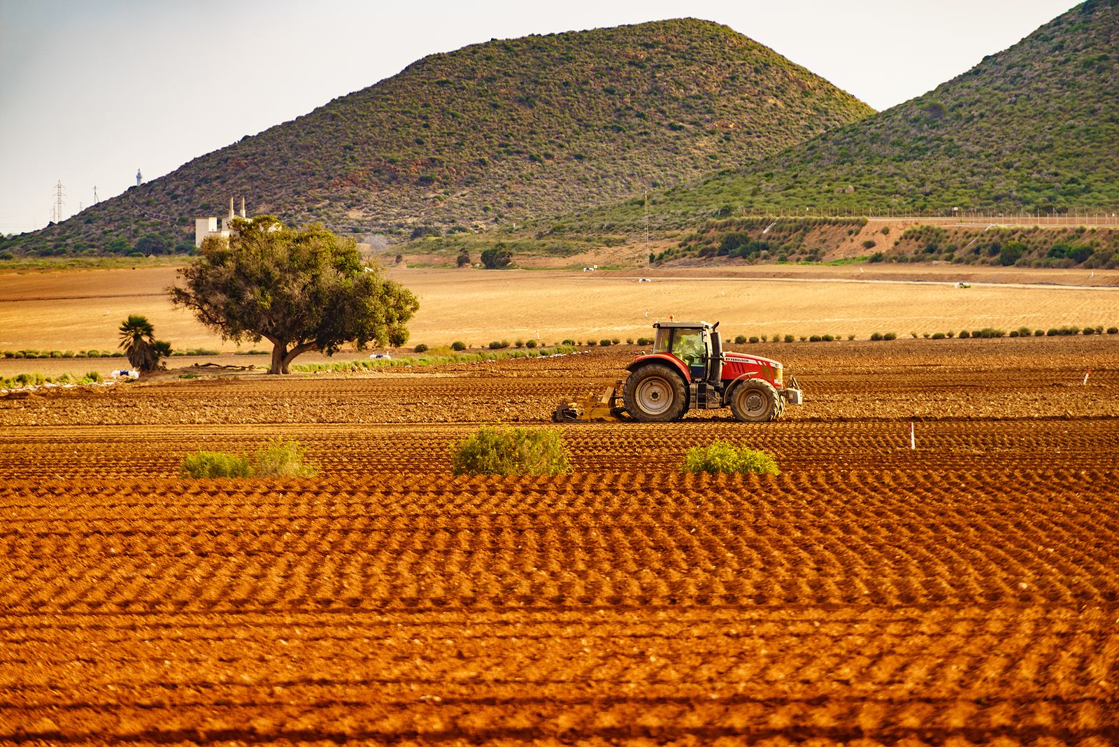 Un tercio de los titulares de explotaciones agrarias en España son mayores de 65 años