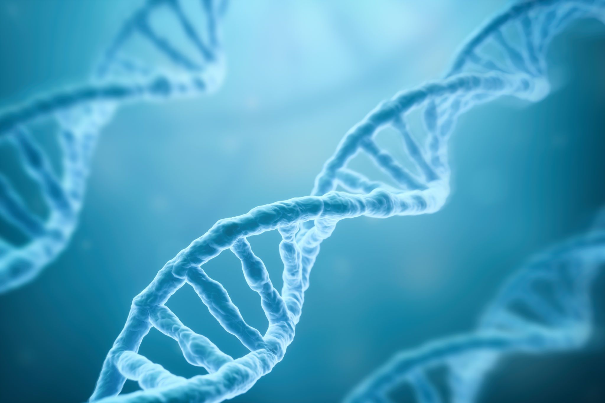 Descifran por primera vez el genoma completo del ser humano. Foto: Bigstock