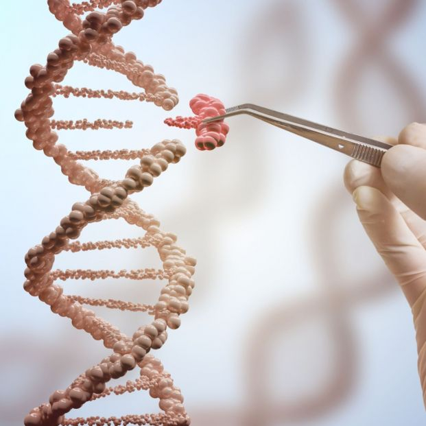 Investigadores generan la primera secuencia completa y sin huecos de un genoma humano. Foto: Bigstock