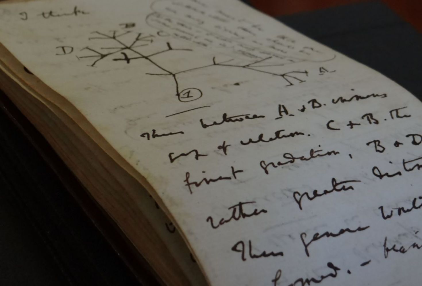 El misterioso regreso de dos cuadernos de Darwin robados hace 22 años
